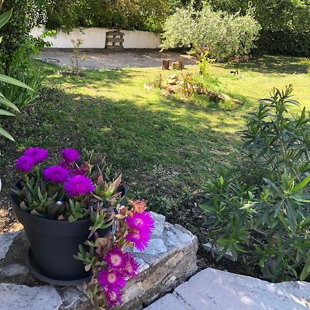 Villa Quinissole Sainte-Anastasie-sur-Issole エクステリア 写真